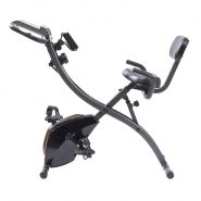 Slim Cycle 2-in-1 Exercise Bike by New Image